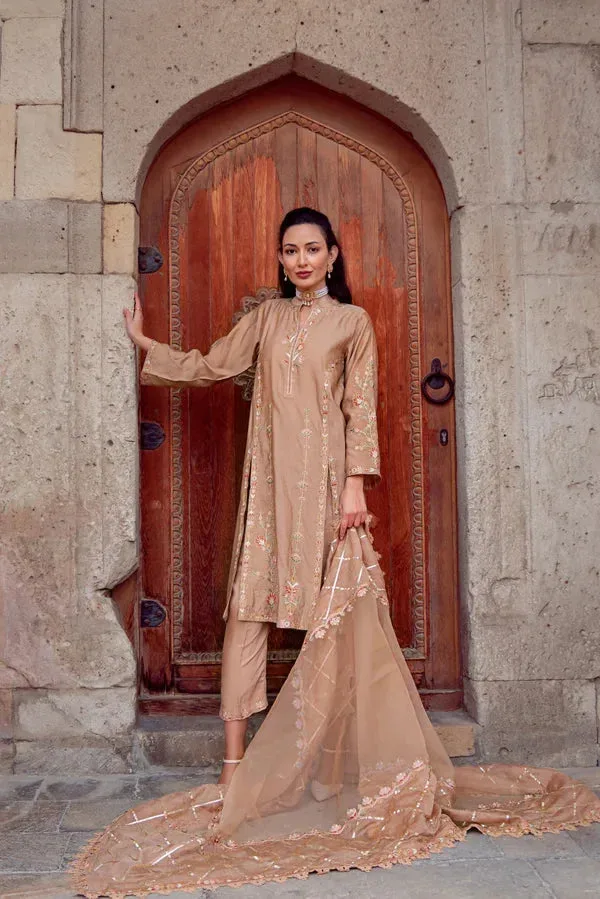 Noor e Zaib Organza – view 1 – Poshaq