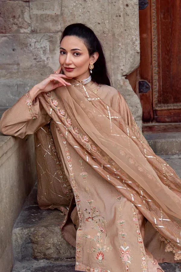 Noor e Zaib Organza – view 3 – Poshaq