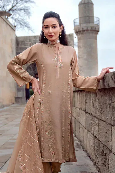 Noor e Zaib Organza – view 4 – Poshaq
