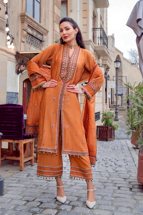 Noor e Zaib Organza – view 1 – Poshaq