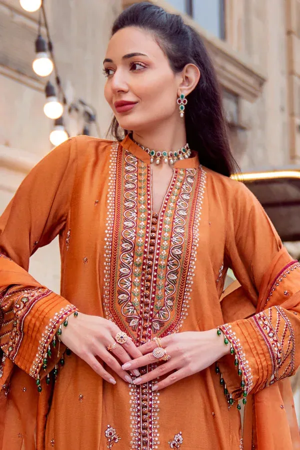 Noor e Zaib Organza – view 2 – Poshaq