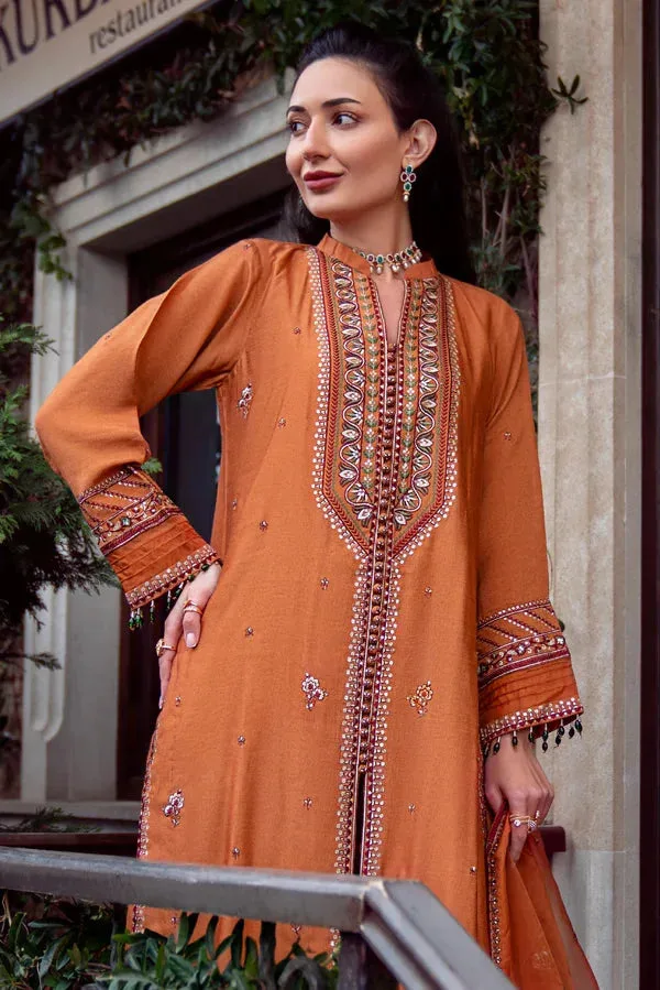 Noor e Zaib Organza – view 3 – Poshaq