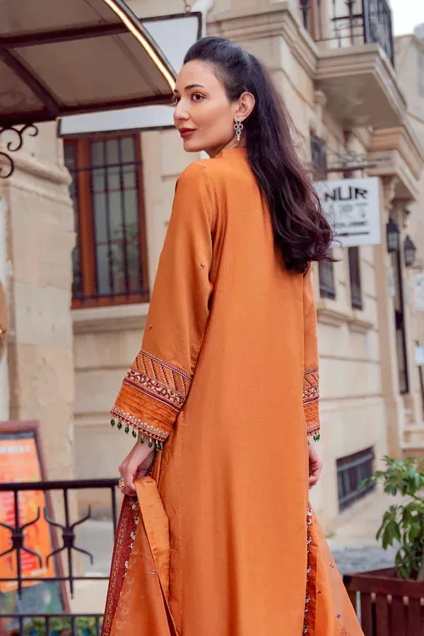 Noor e Zaib Organza – view 4 – Poshaq