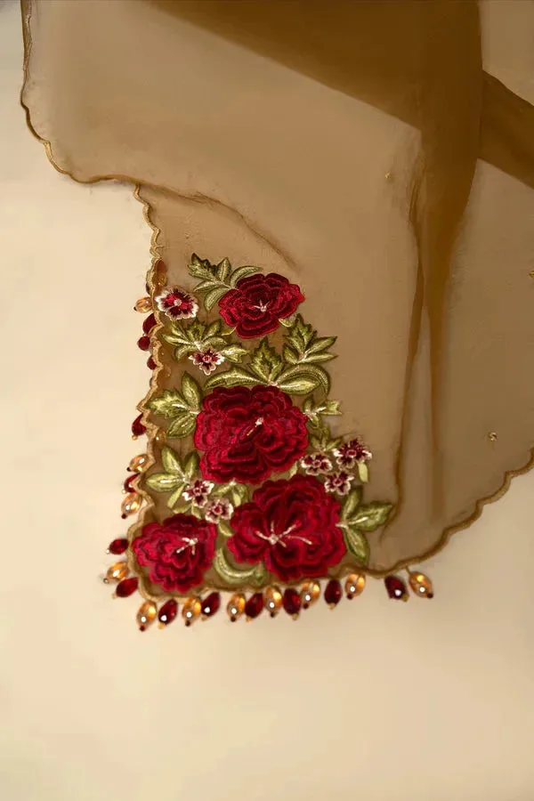 Rumaisa Organza – view 3 – Poshaq