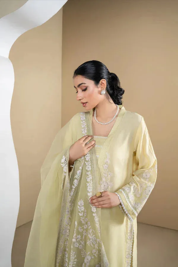 Rumaisa Organza – view 1 – Poshaq