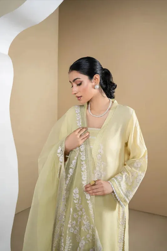 Rumaisa Organza – view 1 – Poshaq