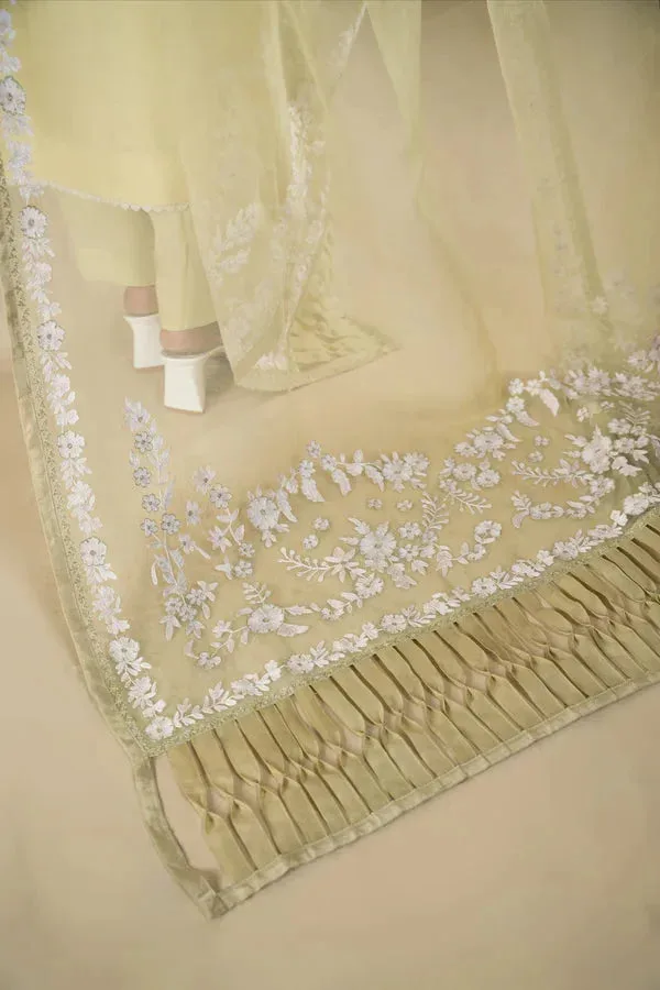 Rumaisa Organza – view 3 – Poshaq
