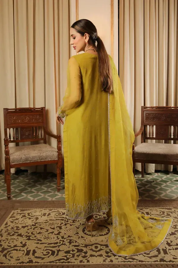 Baad E Saba Yellow Raw Silk – view 2 – Poshaq