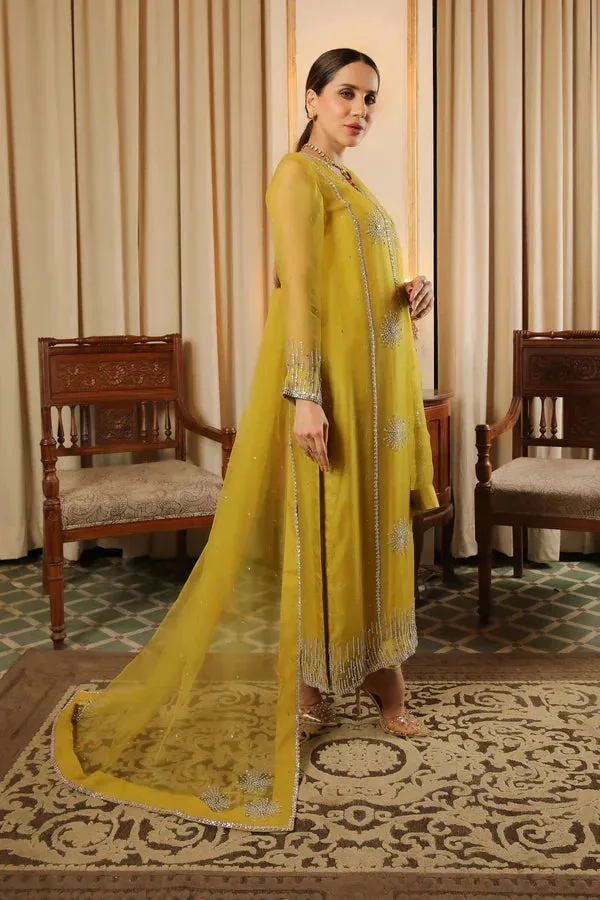 Baad E Saba Yellow Raw Silk – view 3 – Poshaq