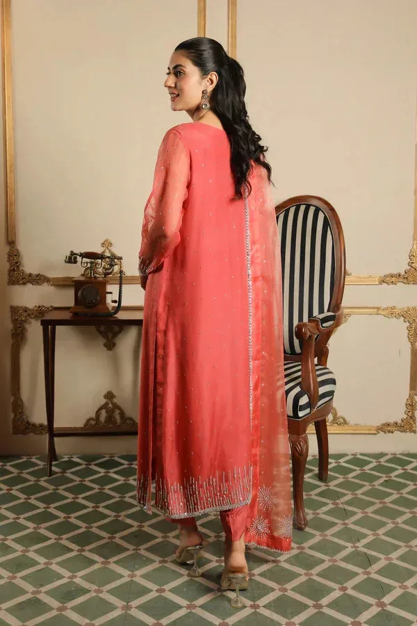 Baad E Saba Coral Raw Silk – view 2 – Poshaq