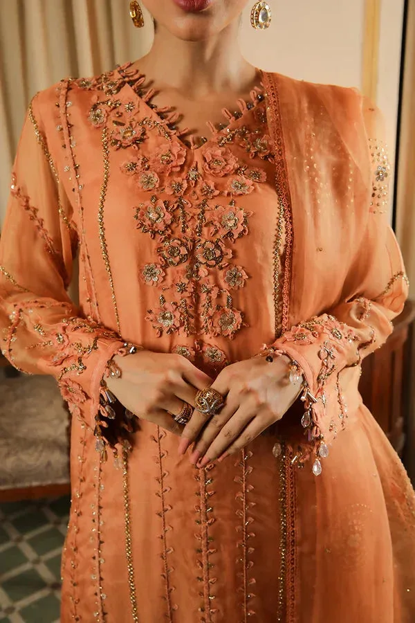 Baad E Saba Organza – view 4 – Poshaq