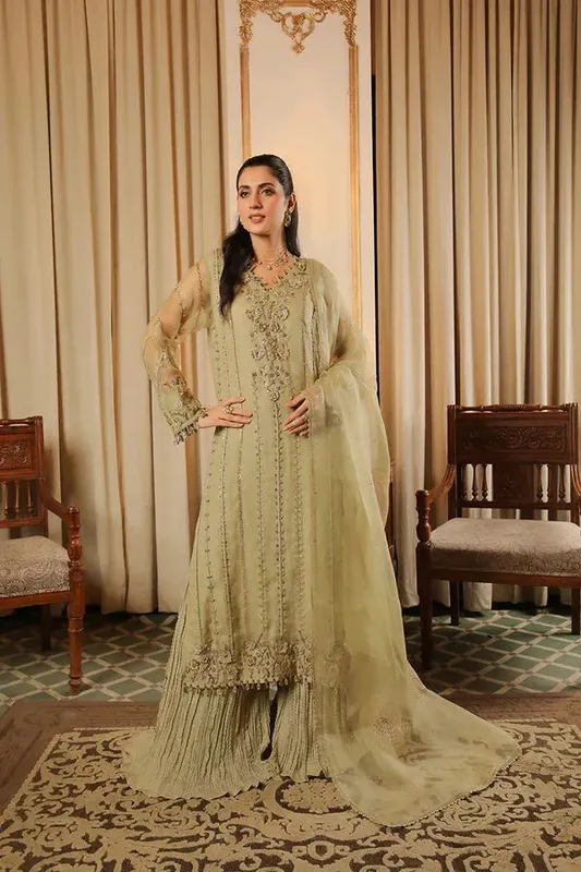 Baad E Saba Green Organza – view 1 – Poshaq