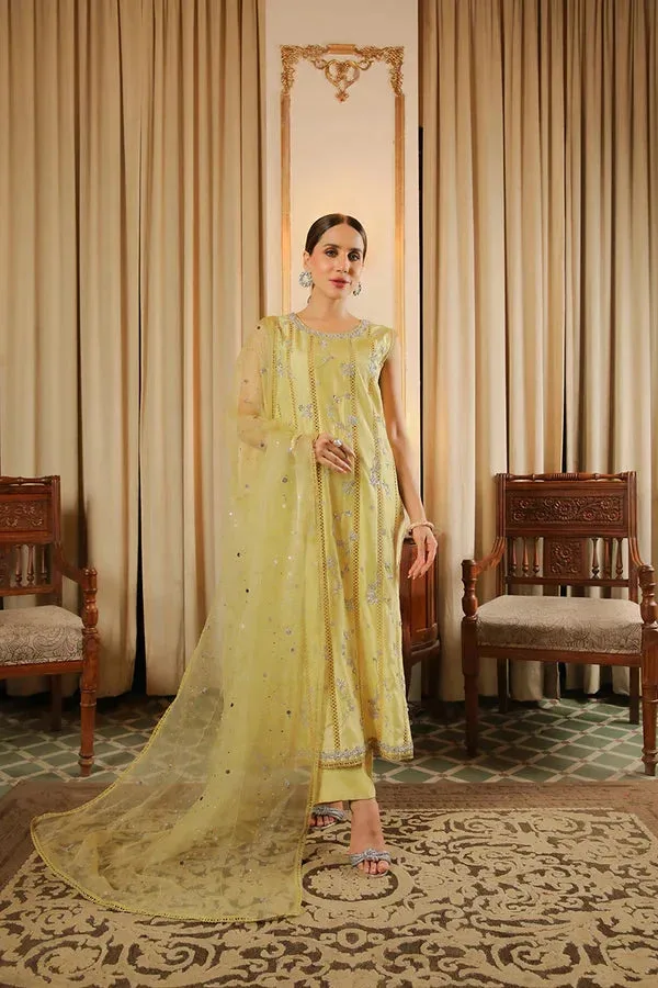 Baad E Saba Raw Silk – view 1 – Poshaq
