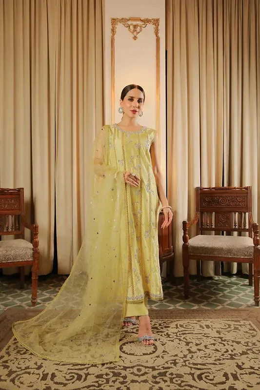 Baad E Saba Raw Silk – view 1 – Poshaq