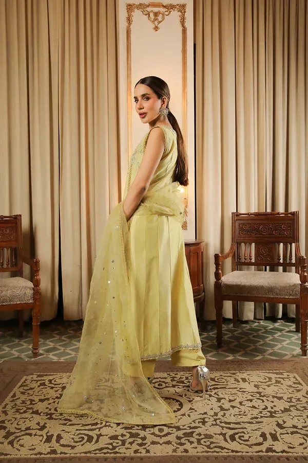Baad E Saba Raw Silk – view 2 – Poshaq