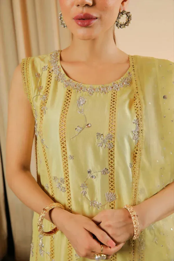 Baad E Saba Raw Silk – view 3 – Poshaq