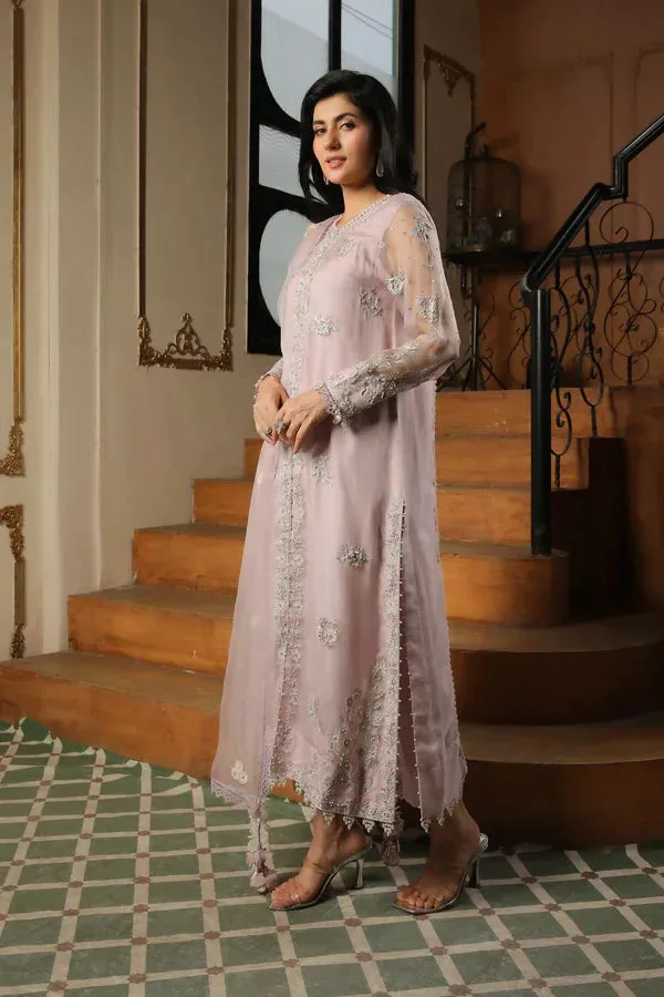 Baad E Saba Pink Organza – view 1 – Poshaq