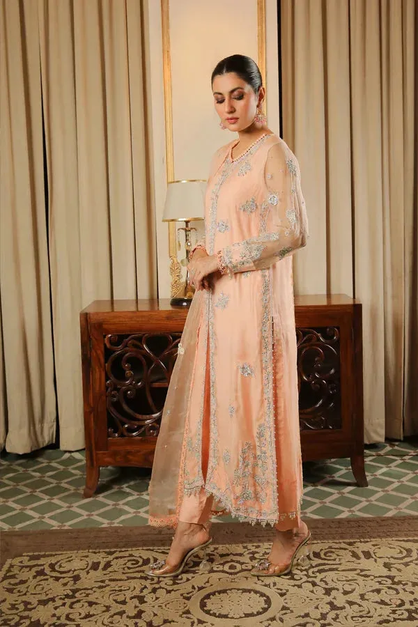 Baad E Saba Peach Organza – view 1 – Poshaq
