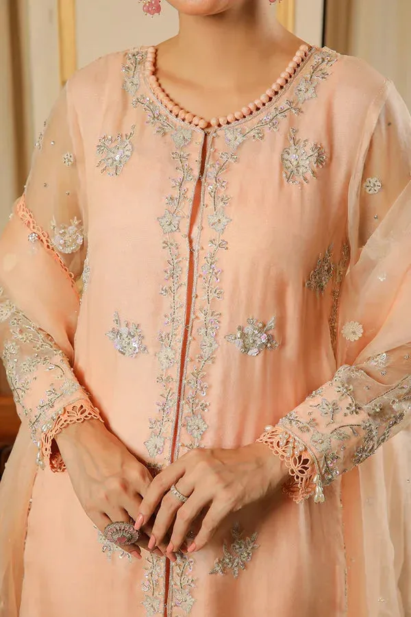 Baad E Saba Peach Organza – view 2 – Poshaq