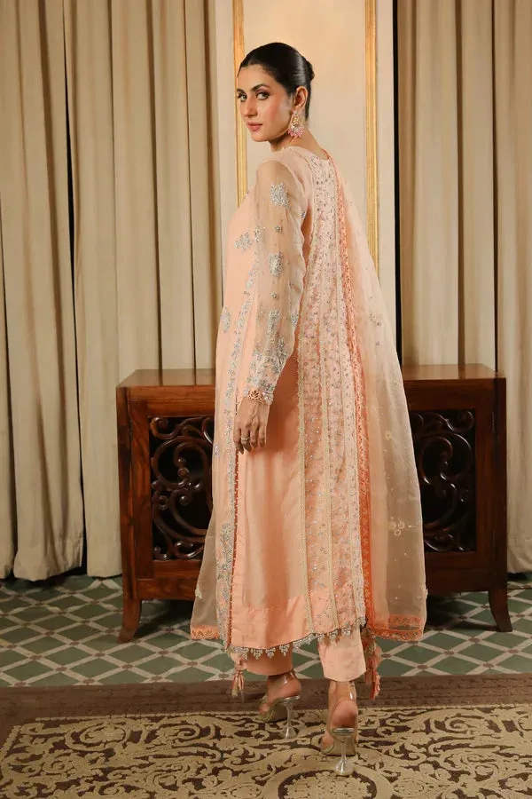 Baad E Saba Peach Organza – view 3 – Poshaq