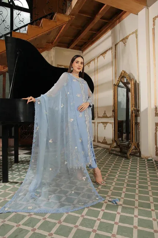 Baad E Saba Organza – view 1 – Poshaq