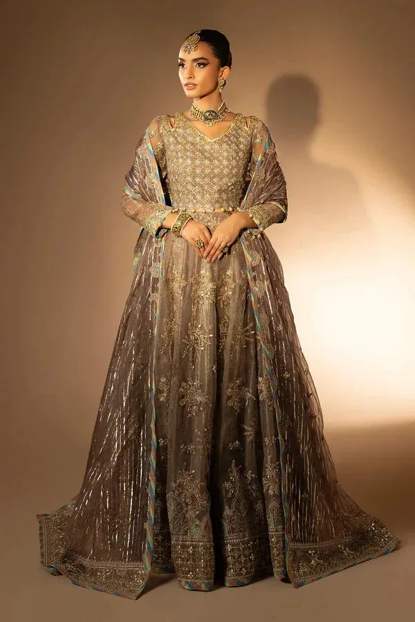 Tabeer Organza – view 1 – Poshaq