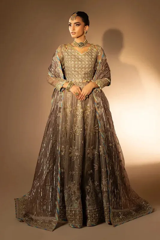 Tabeer Organza – view 1 – Poshaq