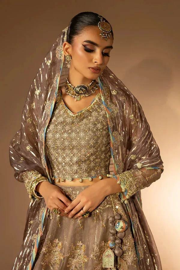Tabeer Organza – view 2 – Poshaq