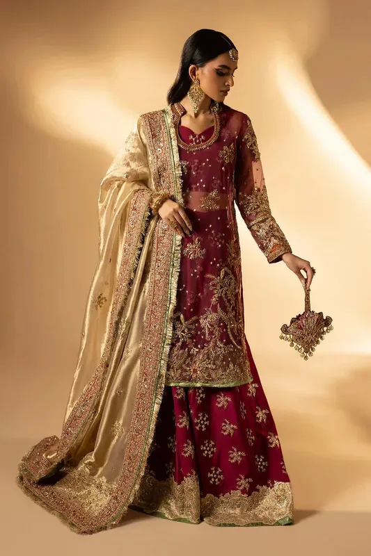 Tabeer Maroon Organza – view 1 – Poshaq