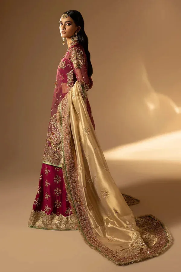 Tabeer Maroon Organza – view 2 – Poshaq