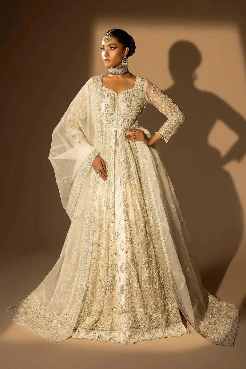Tabeer Organza – view 1 – Poshaq