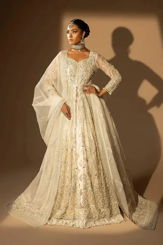 Tabeer Organza – view 1 – Poshaq