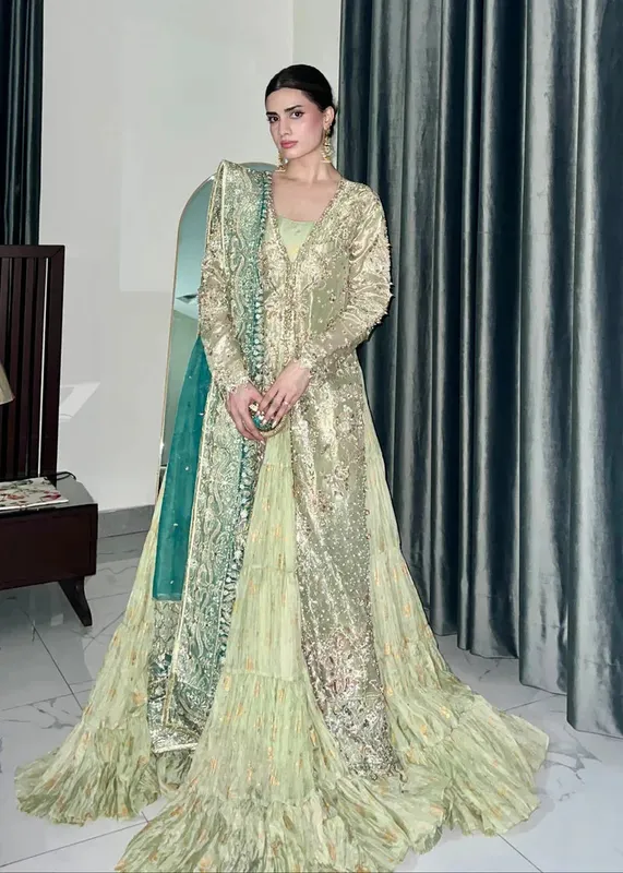 Tabeer Green Organza – view 1 – Poshaq