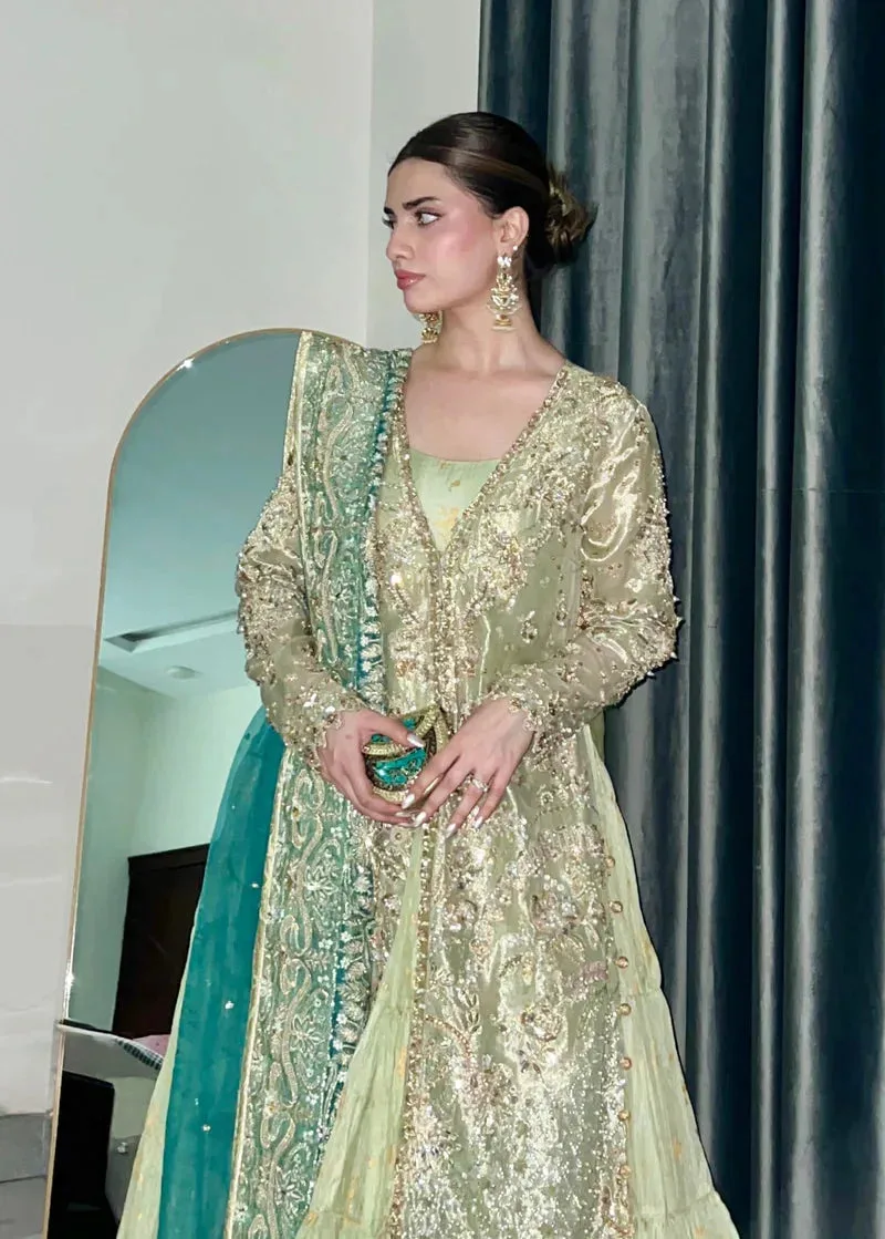 Tabeer Green Organza – view 4 – Poshaq