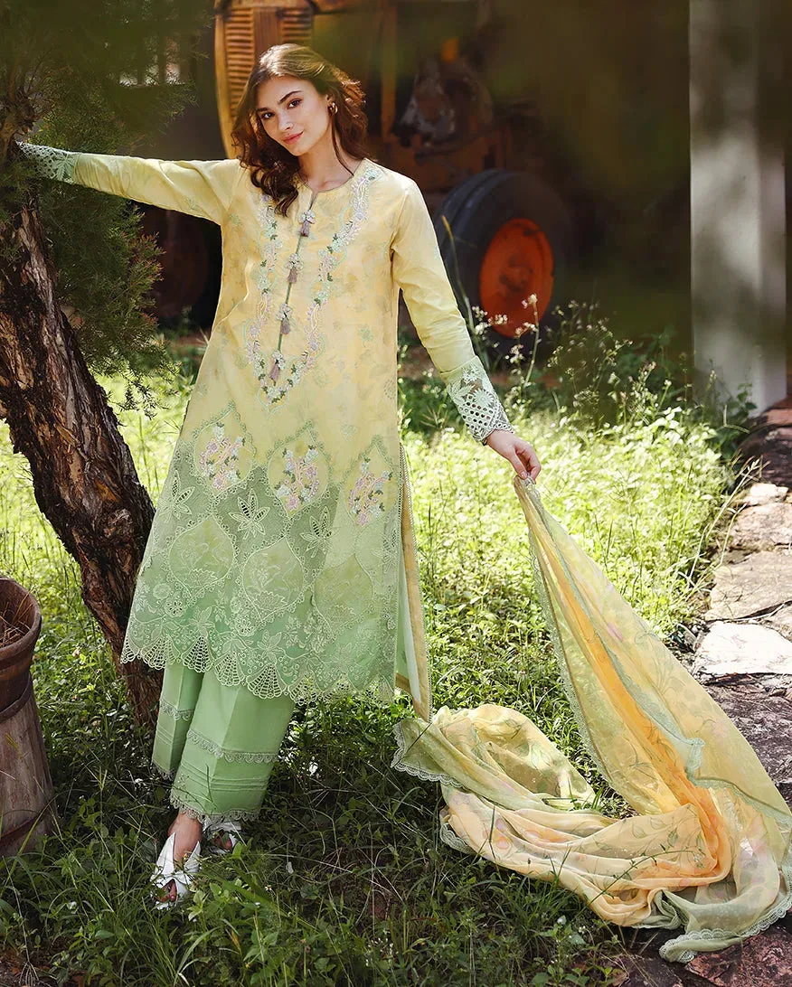 Organza – view 3 – Poshaq