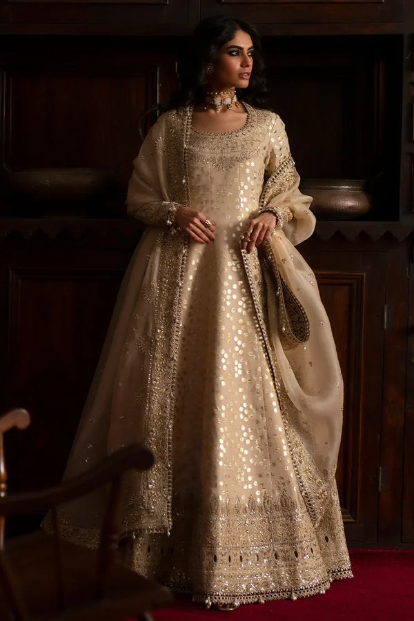 silk Formals Beige Organza – view 1 – Poshaq