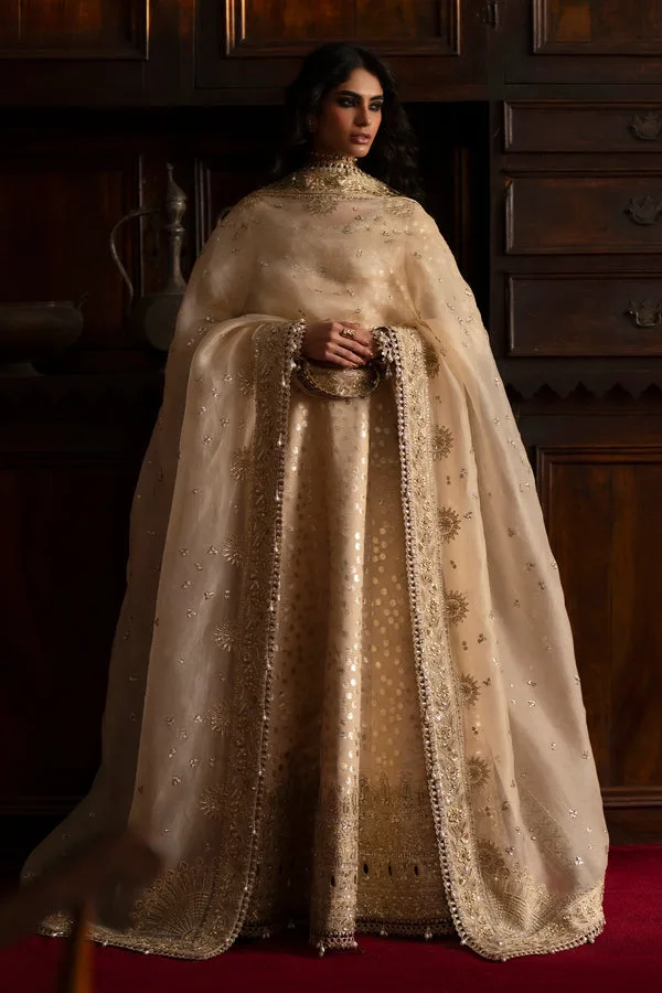 silk Formals Beige Organza – view 3 – Poshaq