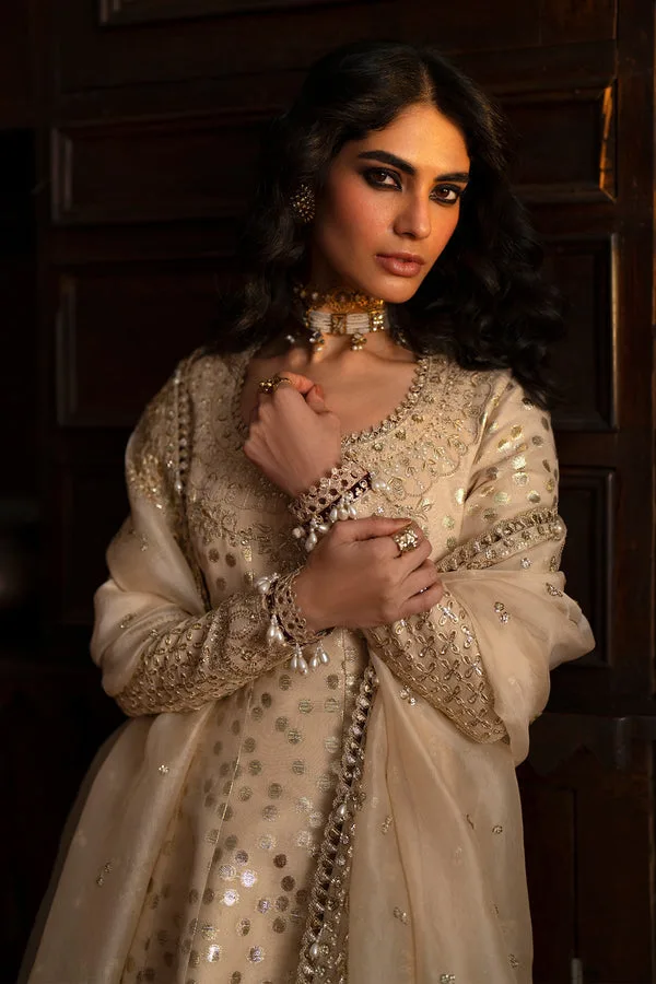 silk Formals Beige Organza – view 5 – Poshaq