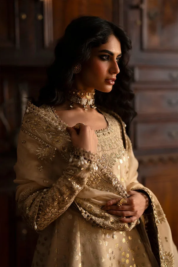 silk Formals Beige Organza – view 6 – Poshaq