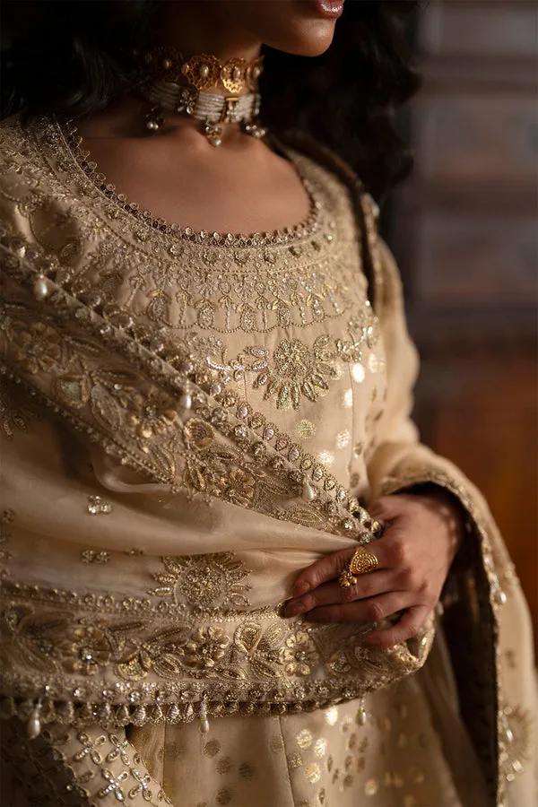 silk Formals Beige Organza – view 7 – Poshaq