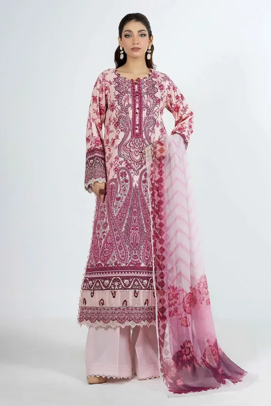 Adans Libas Ethnic Prints Pale Pink Chiffon – view 1 – Poshaq