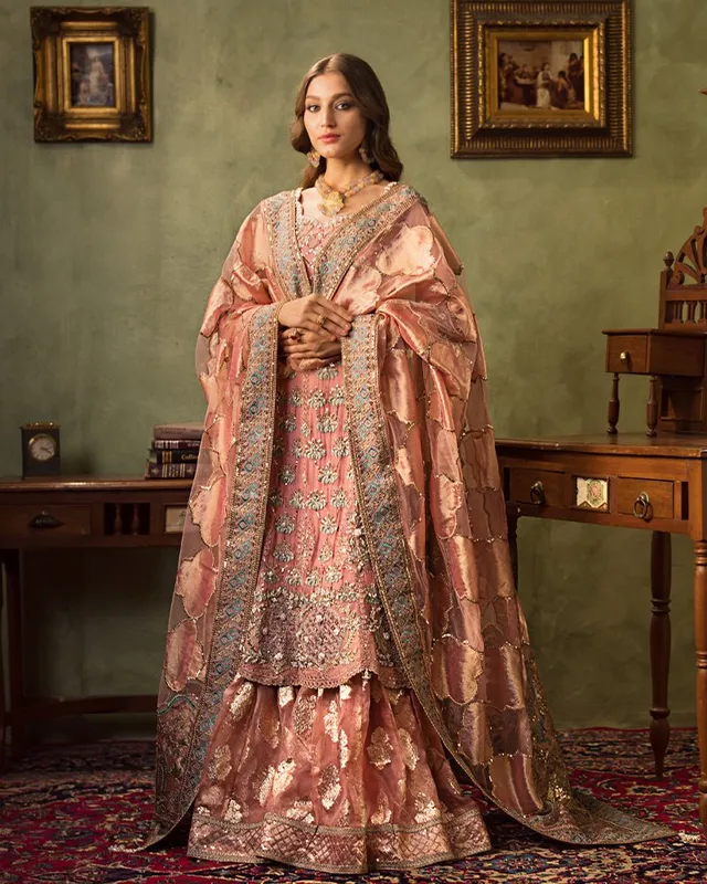 Pink bridal suit with chiffon, organza and net fabrics, featuring intricate embroidery – view 1 – Poshaq