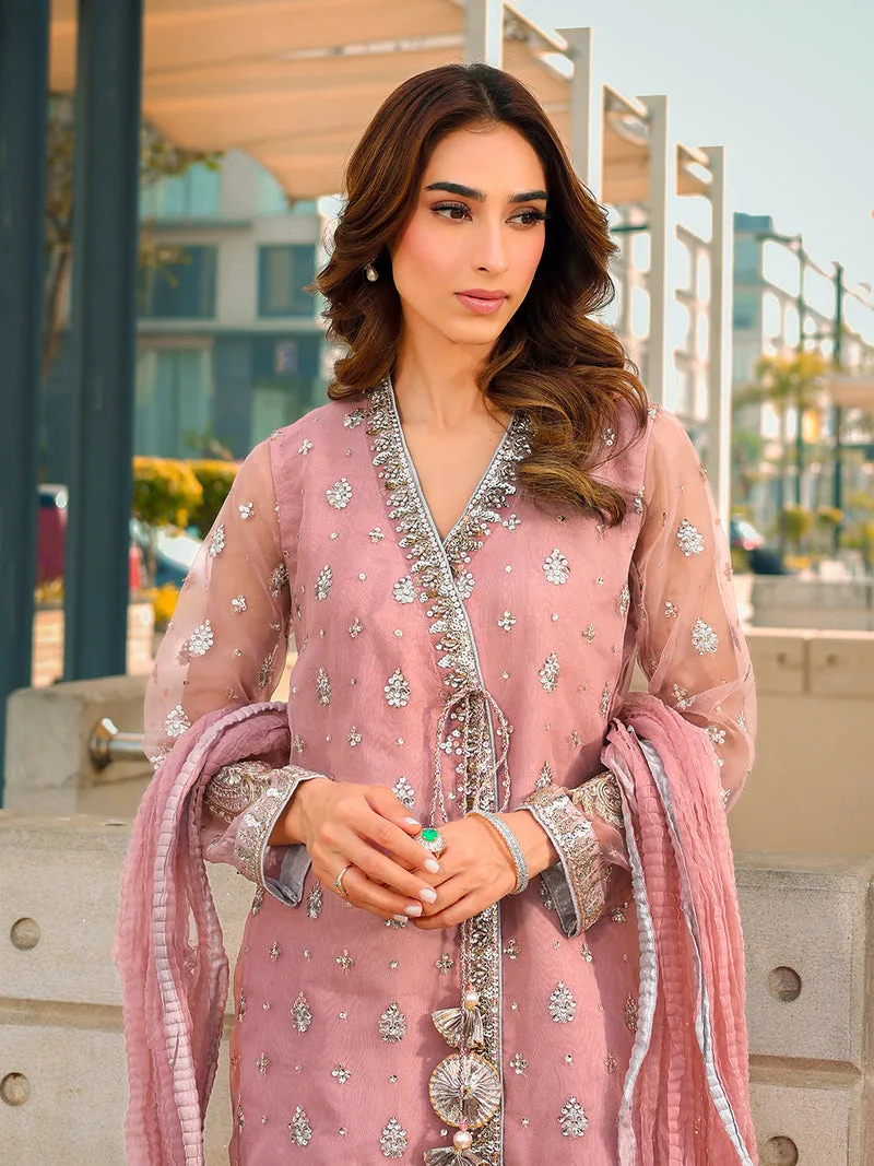 Pink organza formal set with embroidered shirt, dupatta and shararah – view 5 – Poshaq