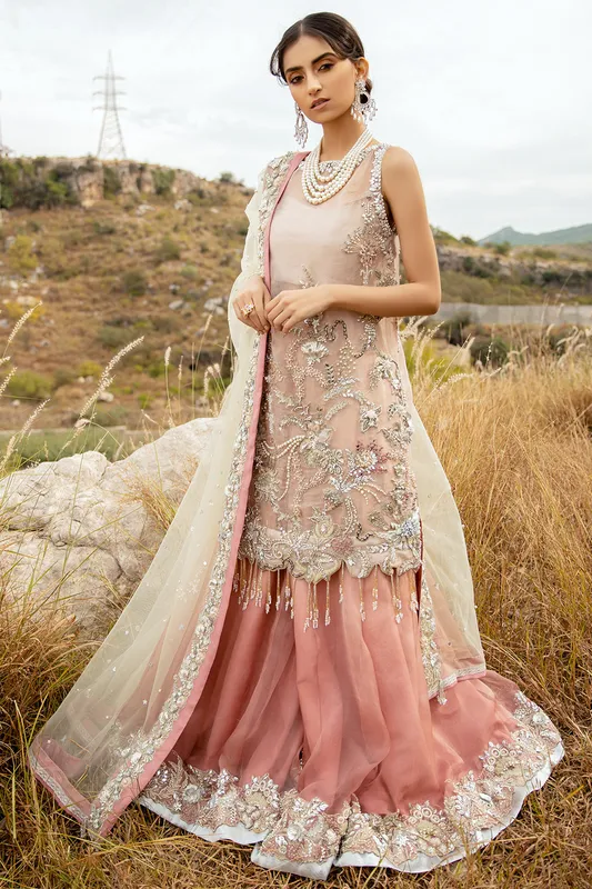 Organza bridal suit with net dupatta and crystal embellishments – view 1 – Poshaq