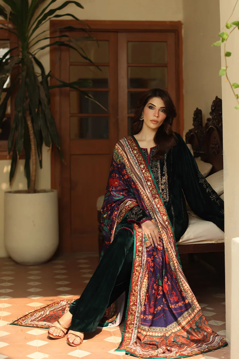 Midnight green velvet shawl with printed design – view 6 – Poshaq