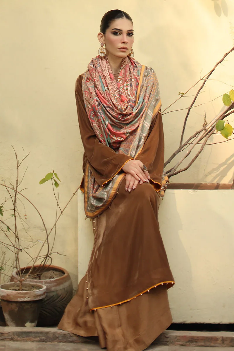 Chocolate brown velvet shawl with subtle print – view 5 – Poshaq