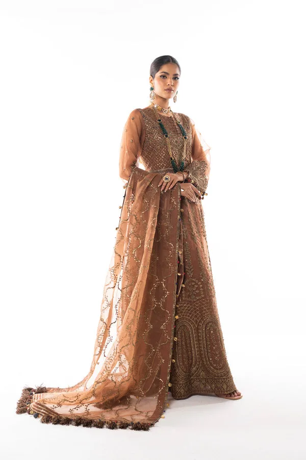 Brown formal suit with embroidered shirt and organza dupatta – view 1 – Poshaq