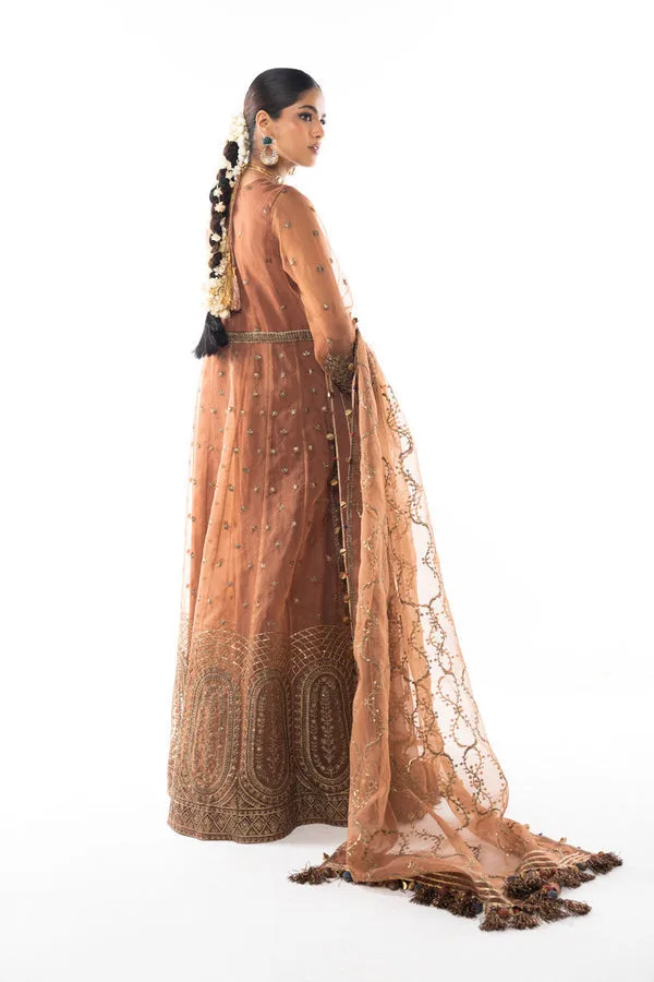 Brown formal suit with embroidered shirt and organza dupatta – view 2 – Poshaq