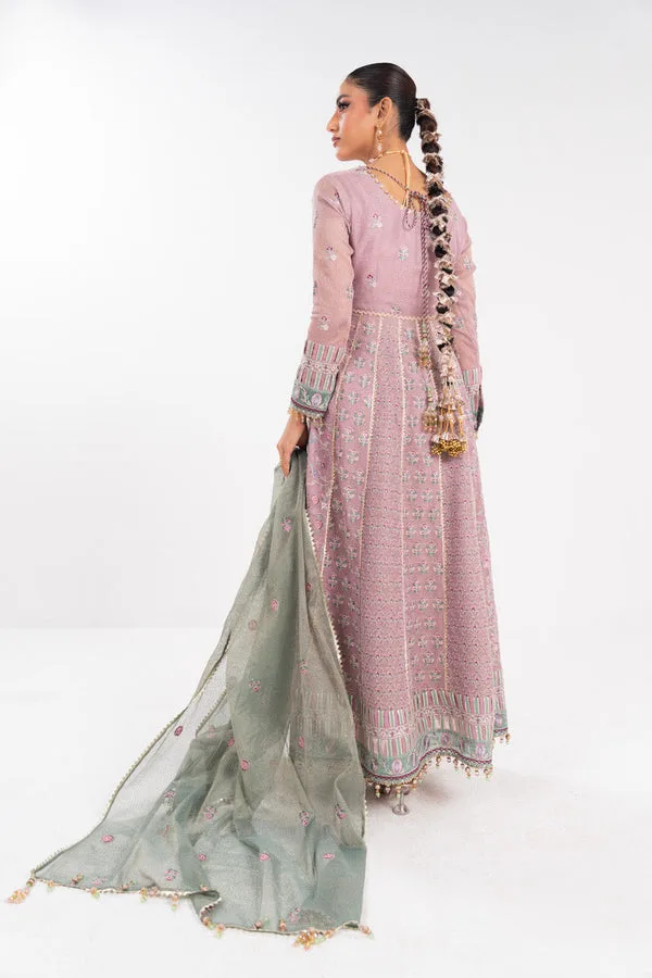 Light pink formal cotton silk suit with net overlay – view 2 – Poshaq