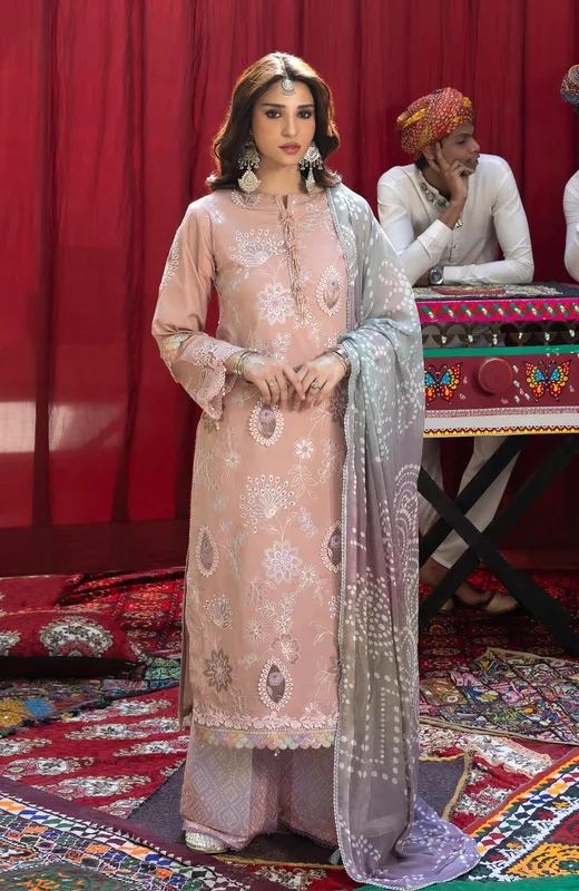Peach pink organza long shirt with Chikankari embroidery – view 1 – Poshaq